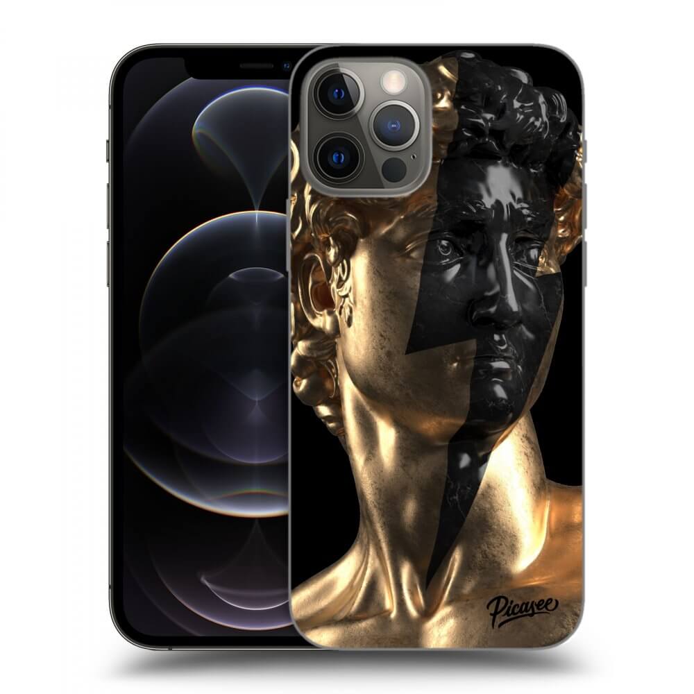 Picasee silikónový čierny obal pre Apple iPhone 12 Pro - Wildfire - Gold