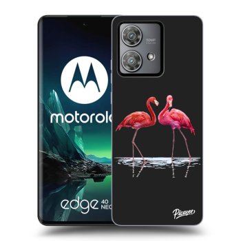 Obal pre Motorola Edge 40 Neo - Flamingos couple