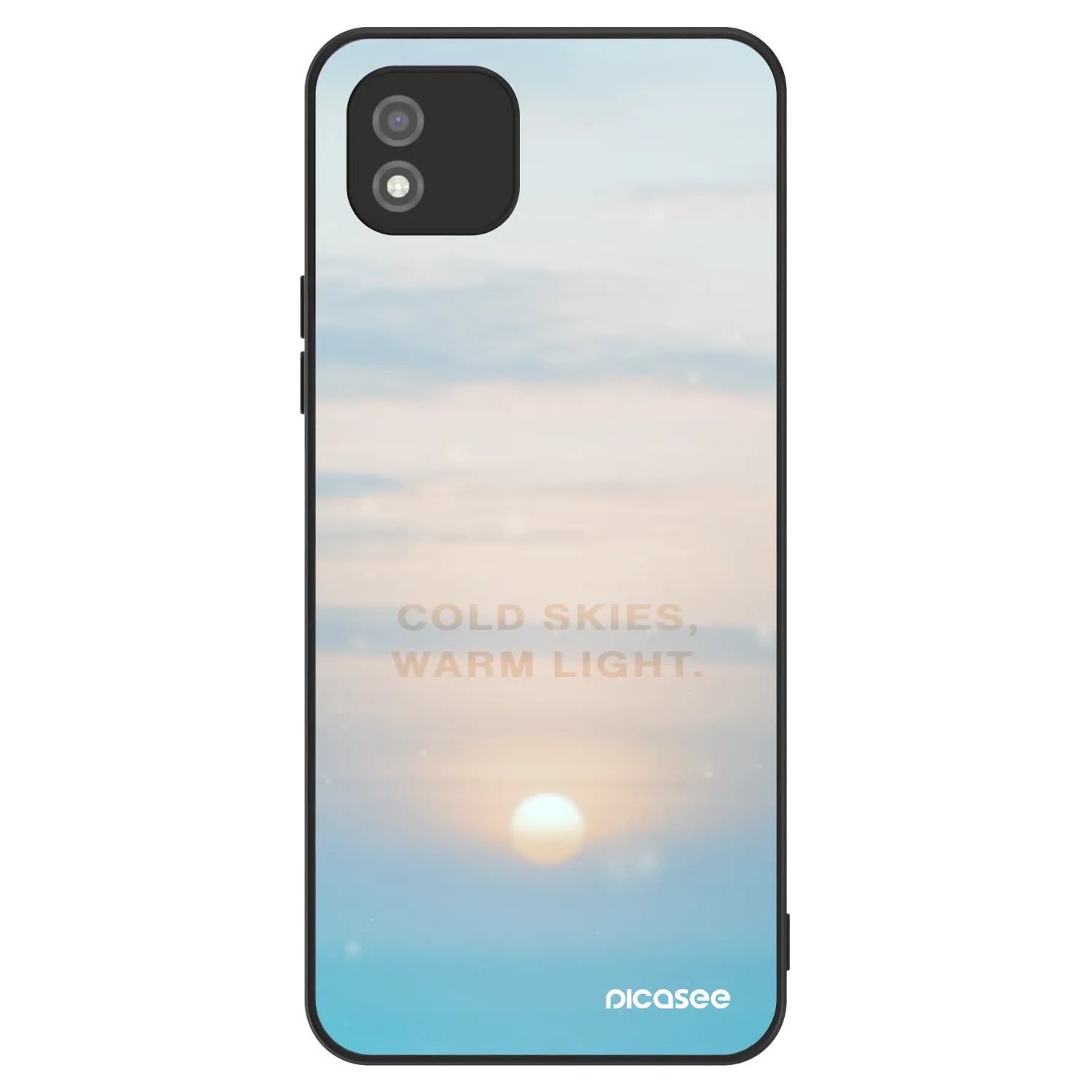 Picasee ULTIMATE CASE pro Realme C11 (2021) - COLD SKIES