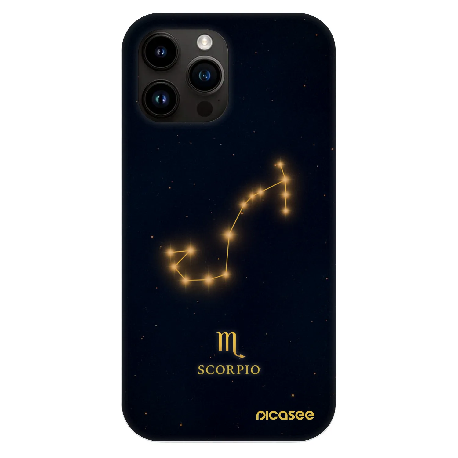 Fashion Case MagSafe pre Apple iPhone 13 Pro Max - SCORPIO