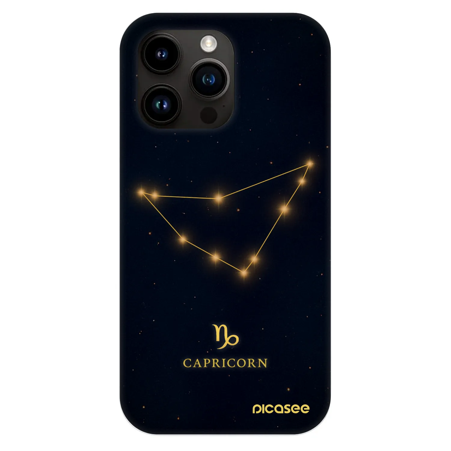 Picasee Fashion Case MagSafe pre Apple iPhone 13 Pro - CAPRICORN