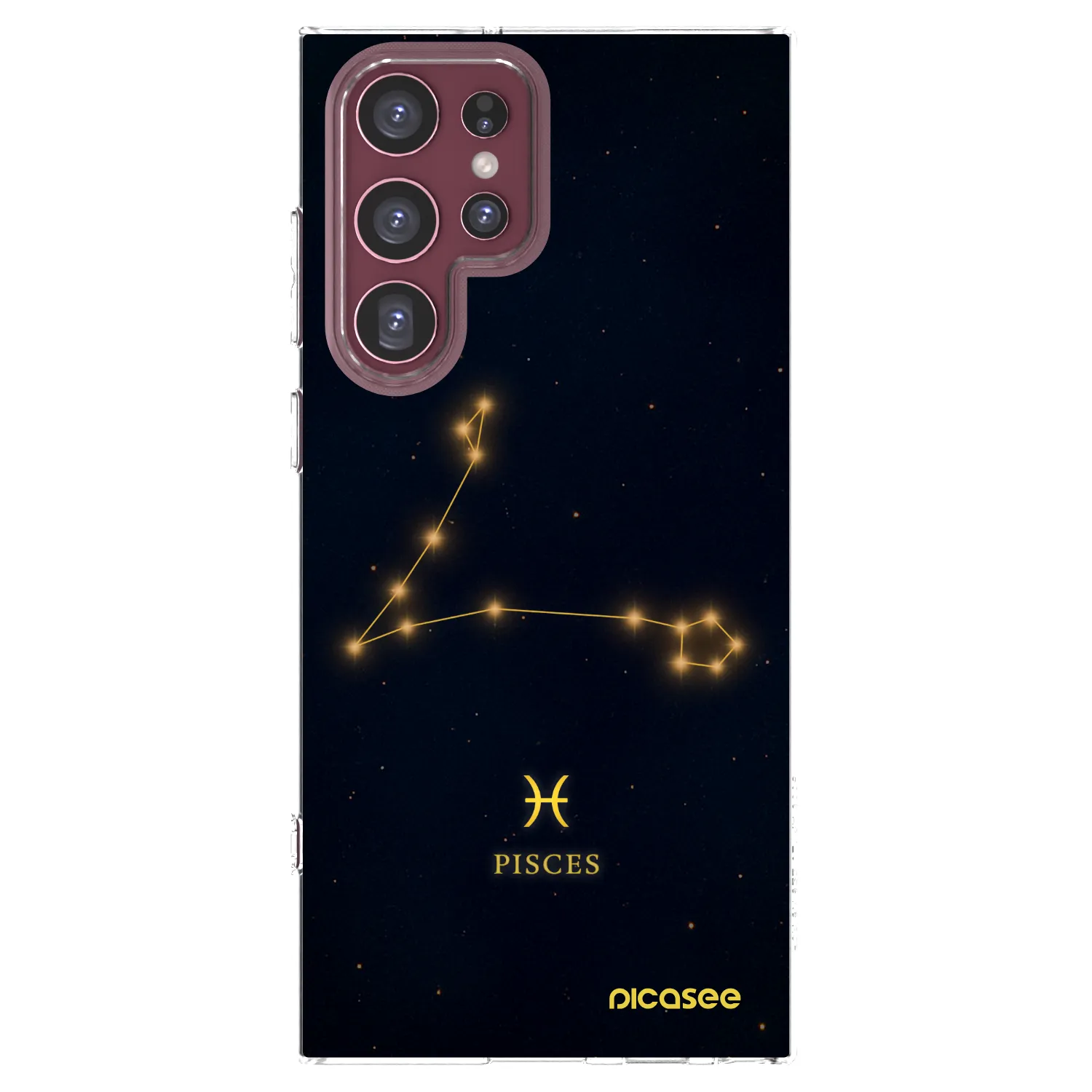 Picasee silikónový prehľadný obal pre Samsung Galaxy S22 Ultra 5G - PISCES