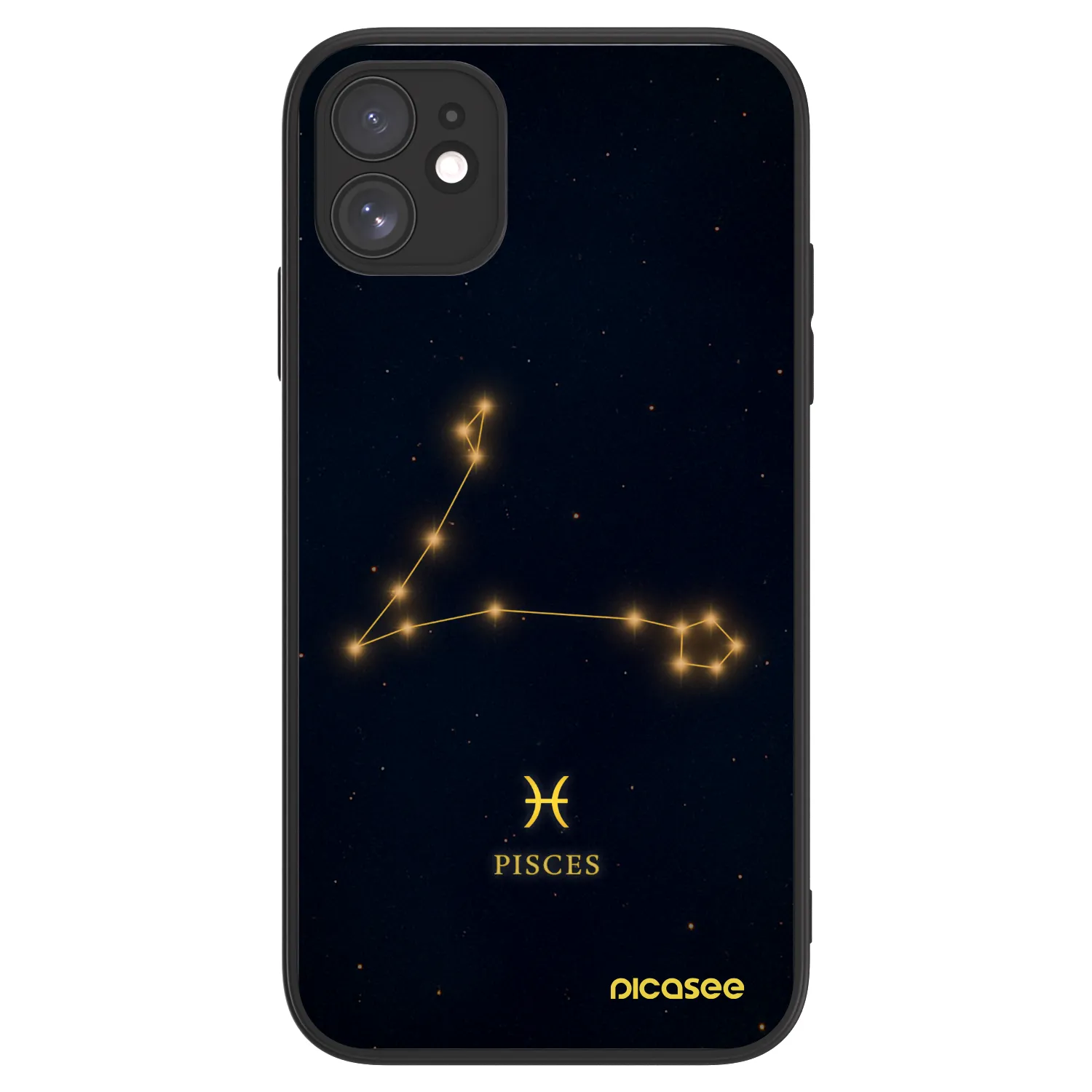 Picasee ULTIMATE CASE MagSafe pro Apple iPhone 11 - PISCES