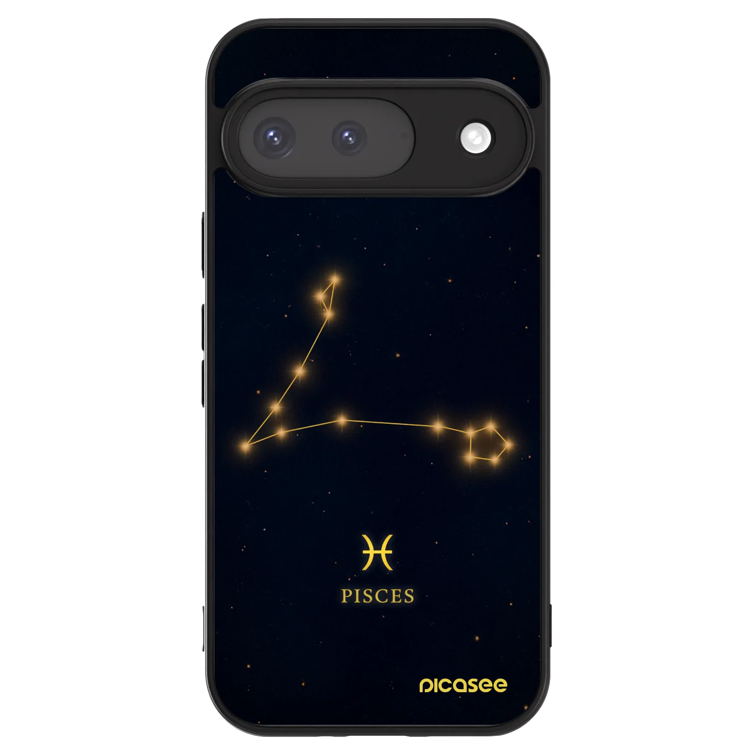 Picasee ULTIMATE CASE pro Google Pixel 9 - PISCES