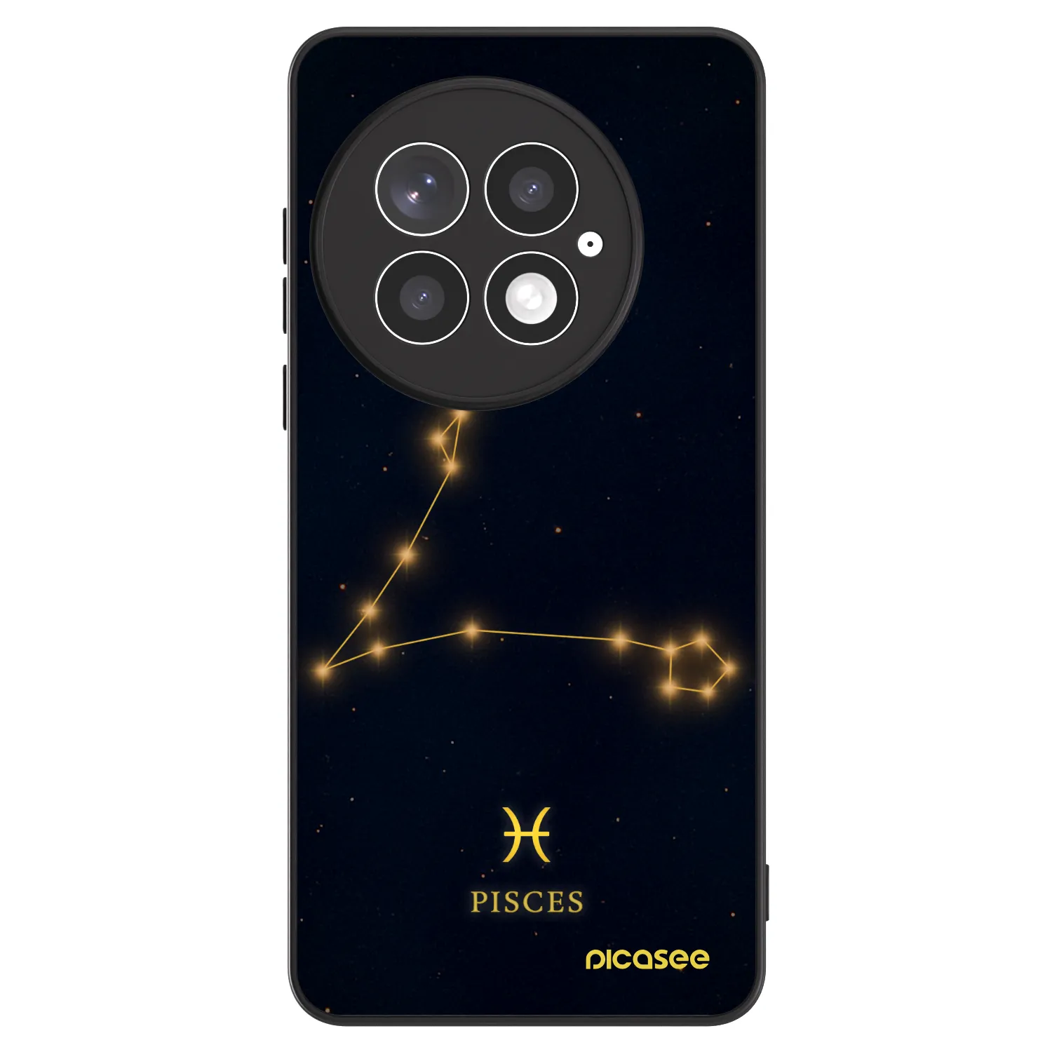 Picasee ULTIMATE CASE pro OnePlus 13 5G - PISCES