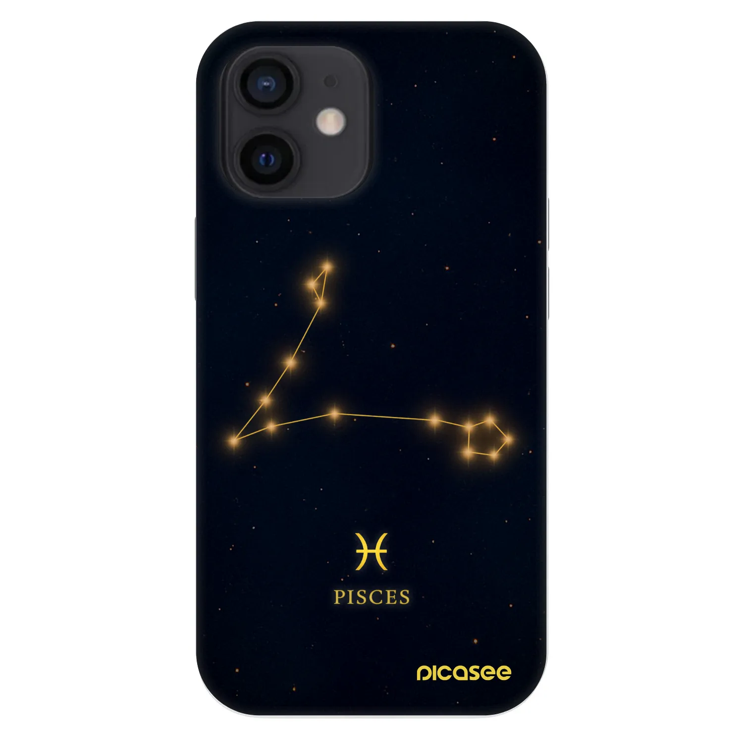 Picasee Fashion Case pre Apple iPhone 12 mini - PISCES