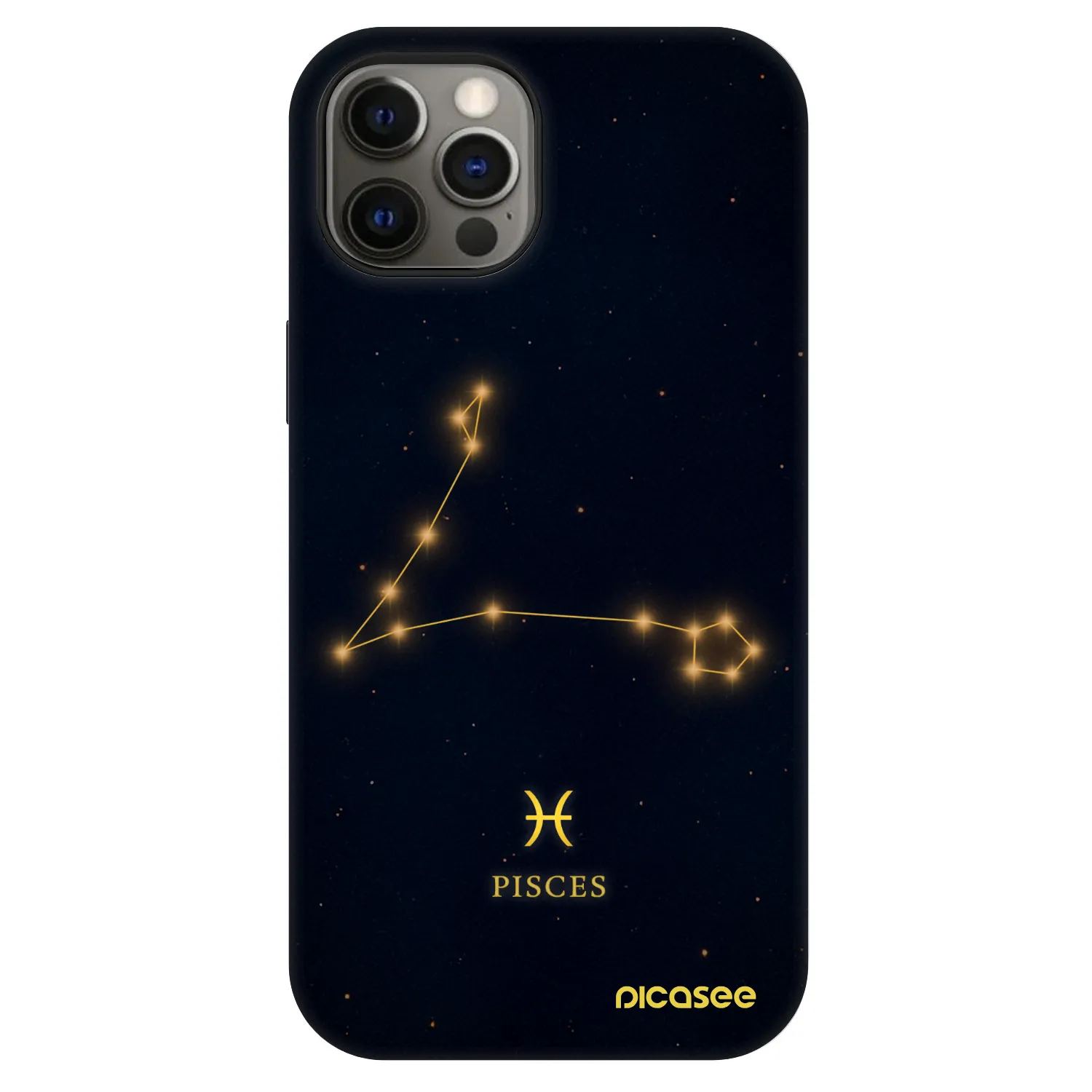 Picasee Fashion Case MagSafe pre Apple iPhone 12 - PISCES