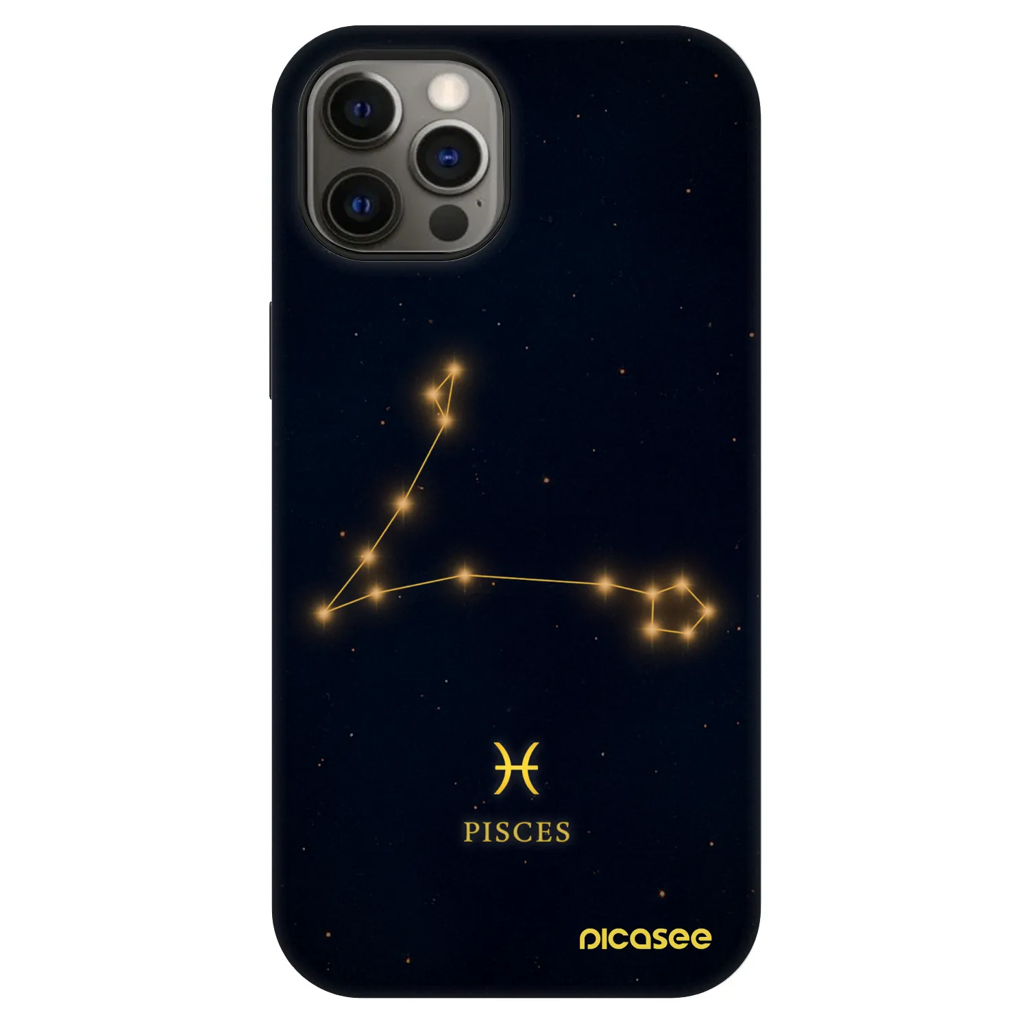 Picasee Fashion Case MagSafe pre Apple iPhone 12 Pro - PISCES