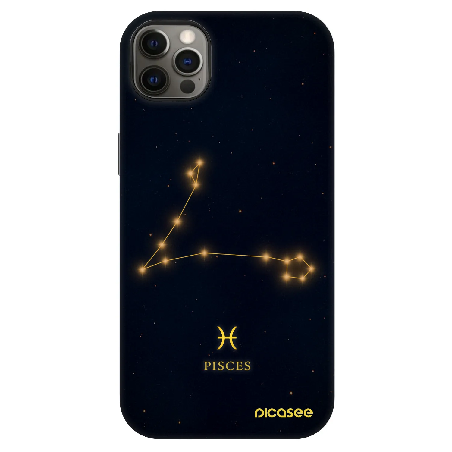 Picasee Fashion Case MagSafe pre Apple iPhone 12 Pro Max - PISCES