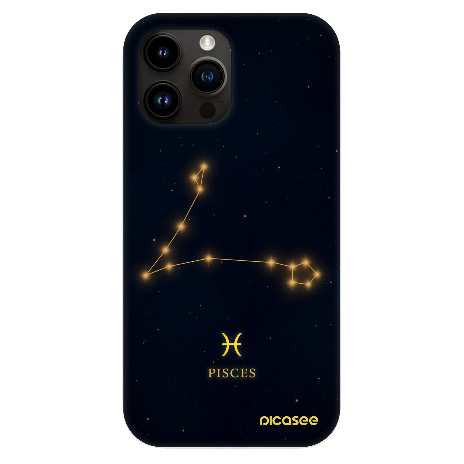 Fashion Case MagSafe pre Apple iPhone 13 Pro Max - PISCES