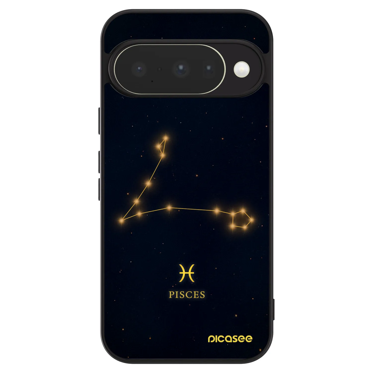 Picasee ULTIMATE CASE pro Google Pixel 10 - PISCES
