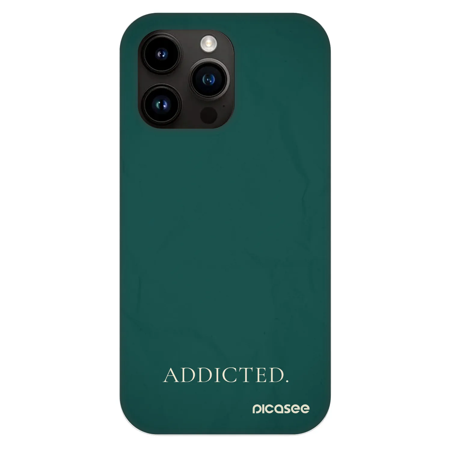 Fashion Case MagSafe pre Apple iPhone 13 Pro - Addicted