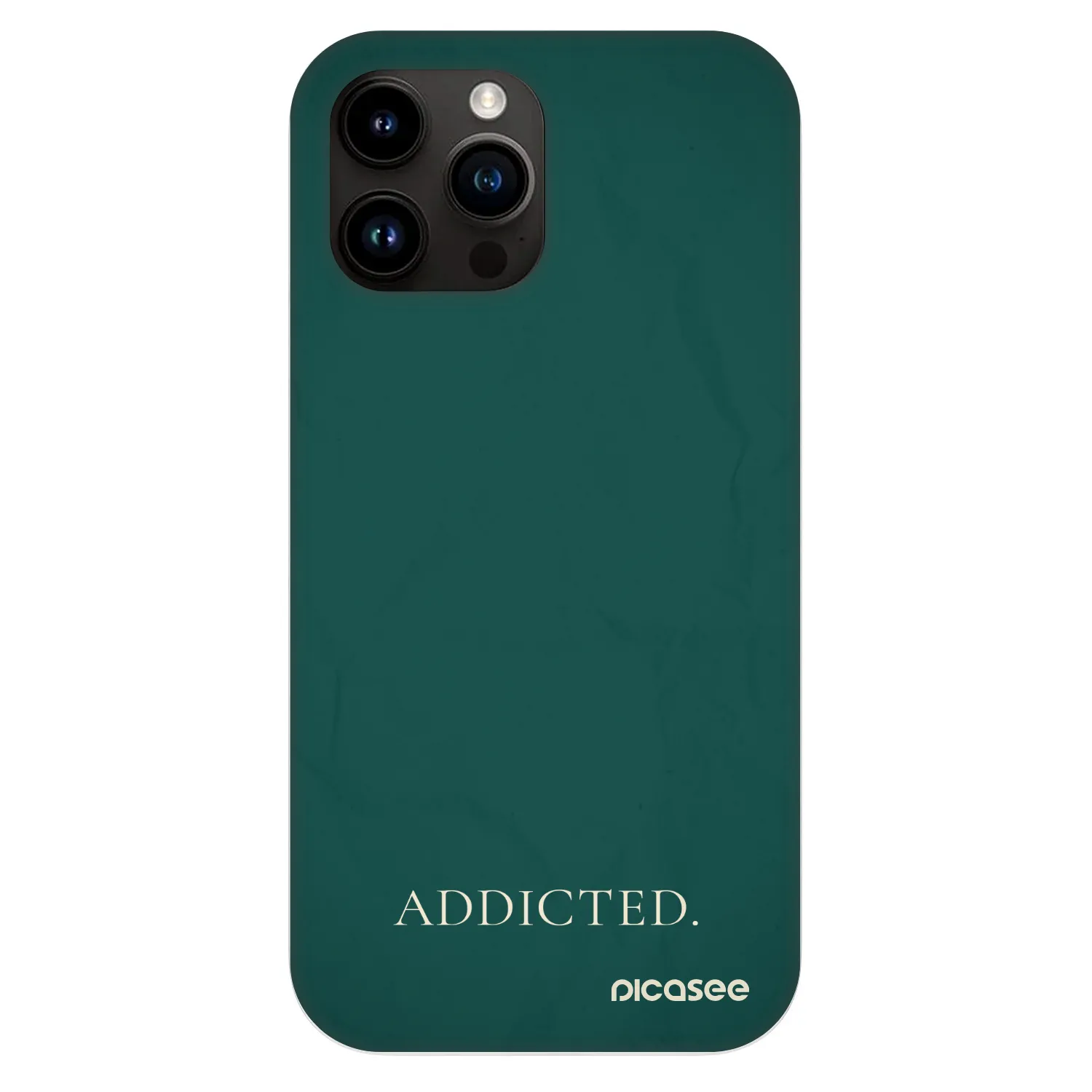 Fashion Case MagSafe pre Apple iPhone 13 Pro Max - Addicted