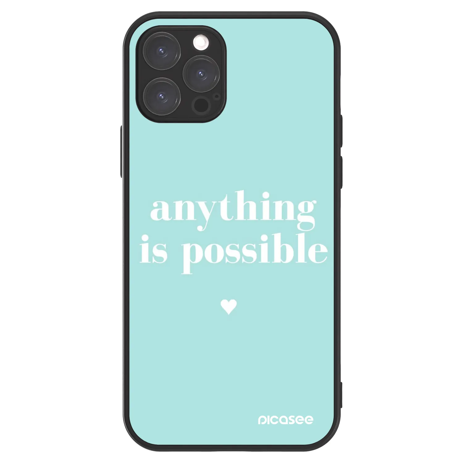 ULTIMATE CASE MagSafe pro Apple iPhone 12 Pro - Anything is possible