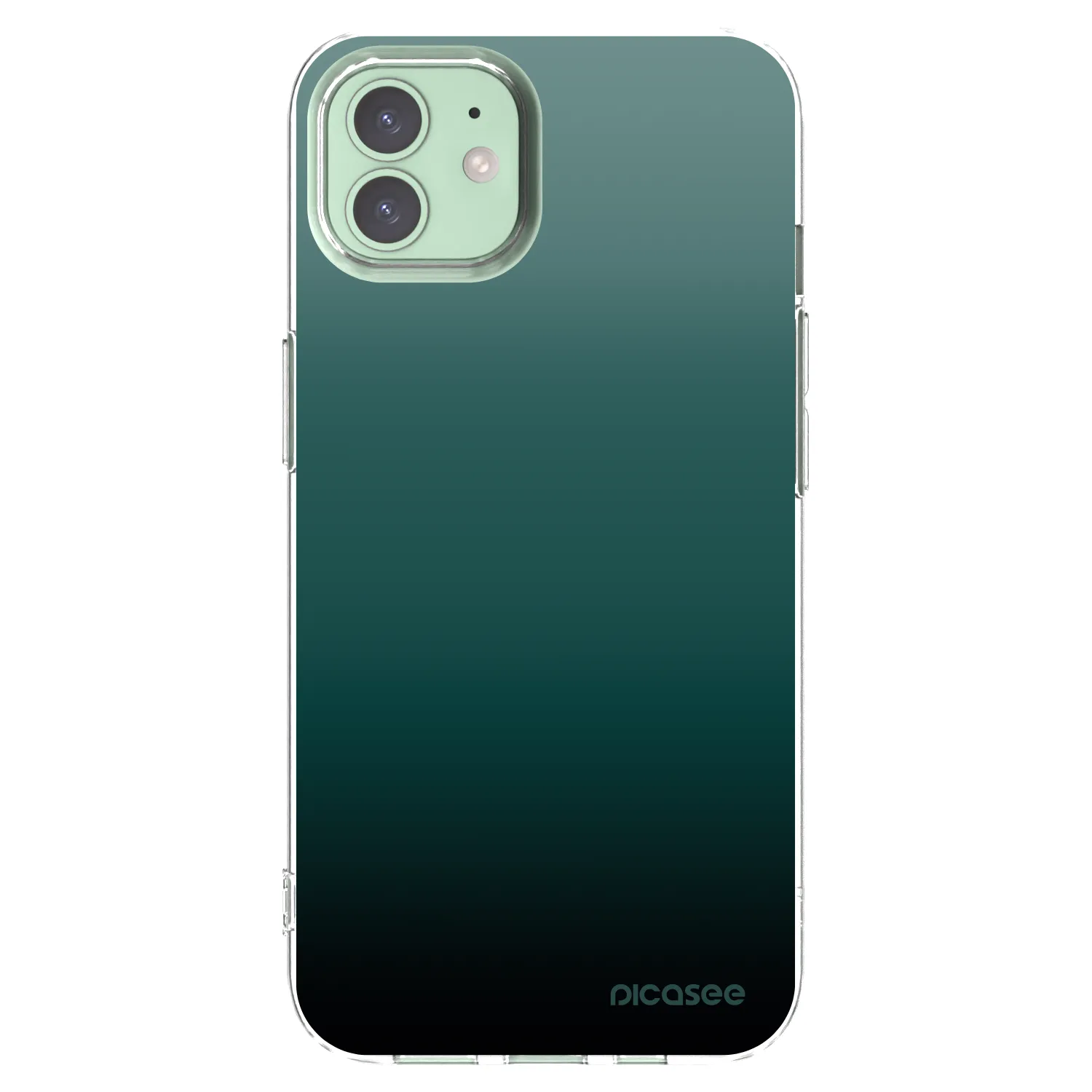 Picasee silikónový prehľadný obal pre Apple iPhone 12 - Verdant Fade
