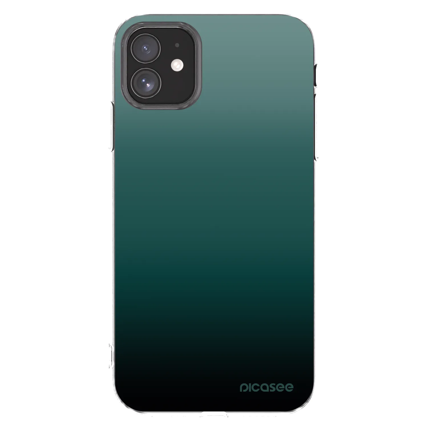 Picasee silikónový prehľadný obal pre Apple iPhone 11 - Verdant Fade