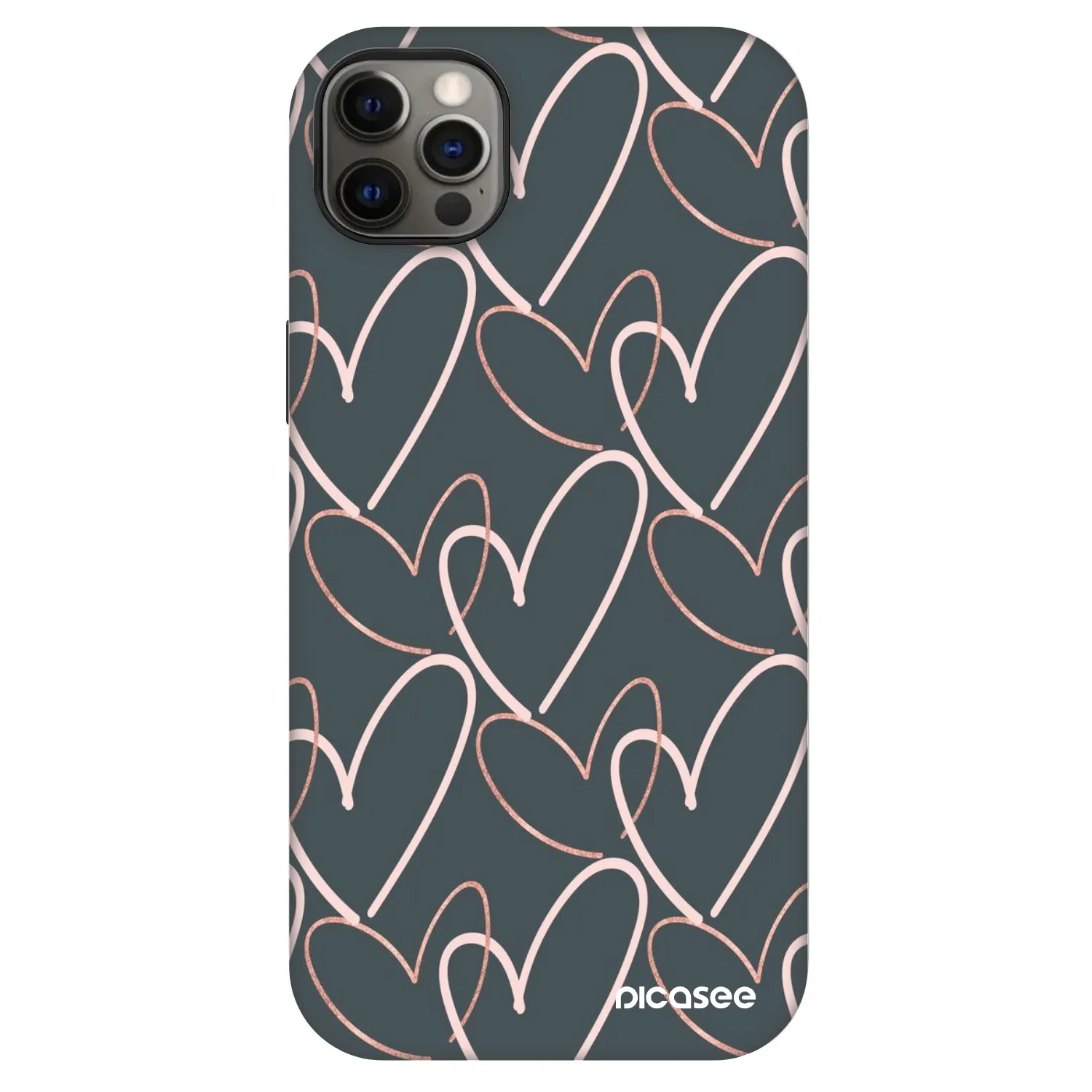 Fashion Case MagSafe pre Apple iPhone 12 Pro Max - Veľa lásky