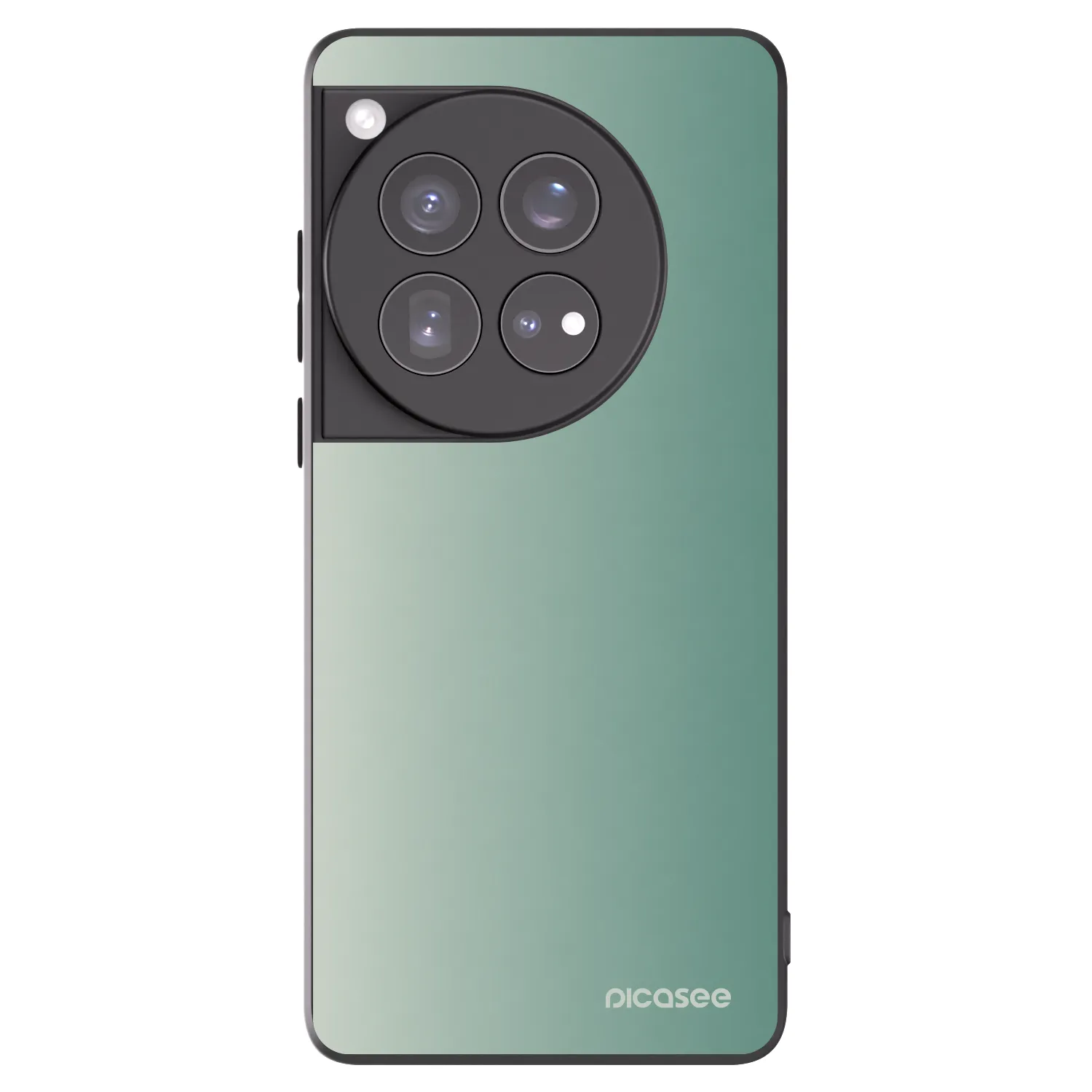 Picasee silikónový čierny obal pre OnePlus 12 5G - Misty Sage
